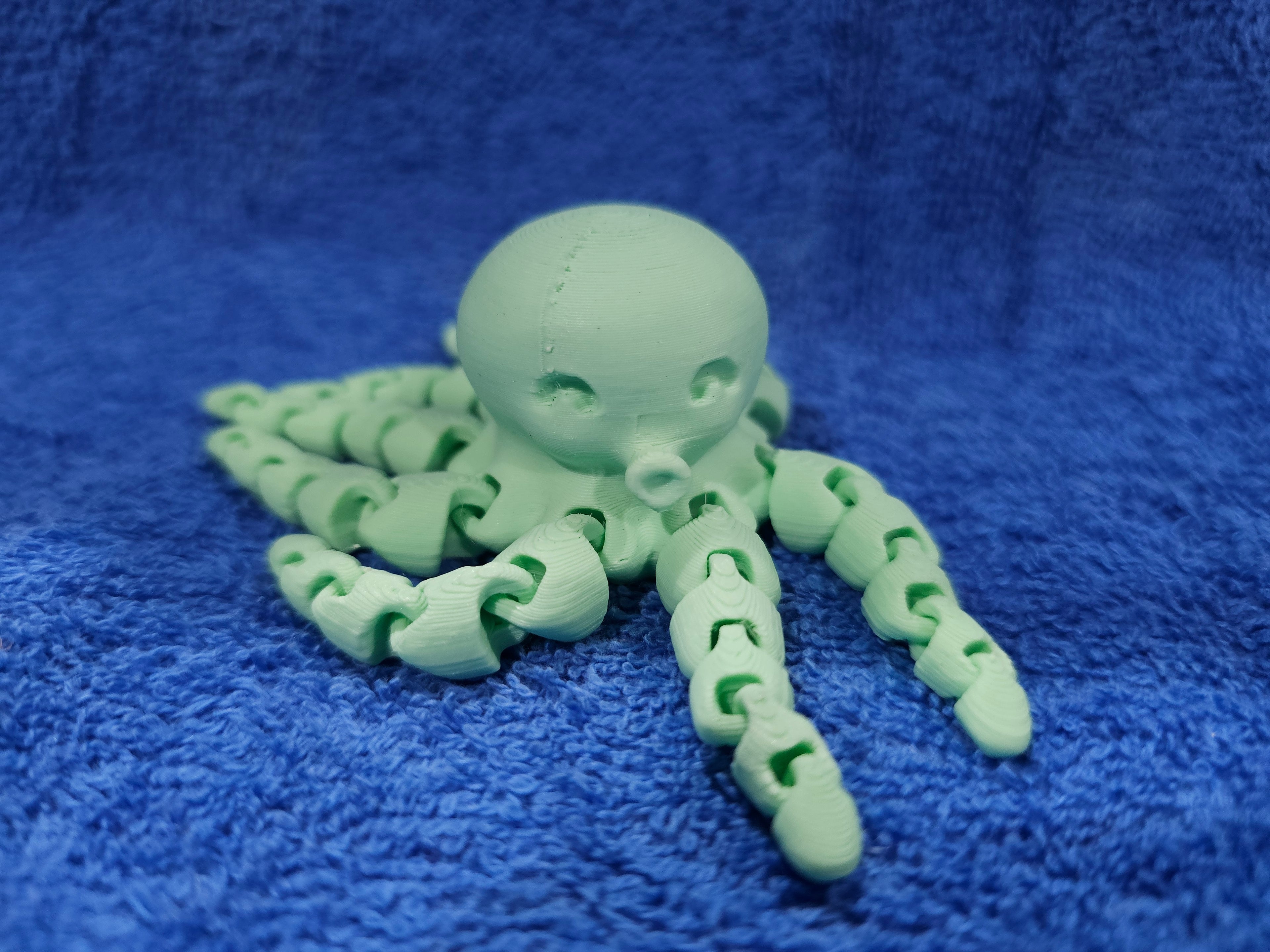 3-D Octopus