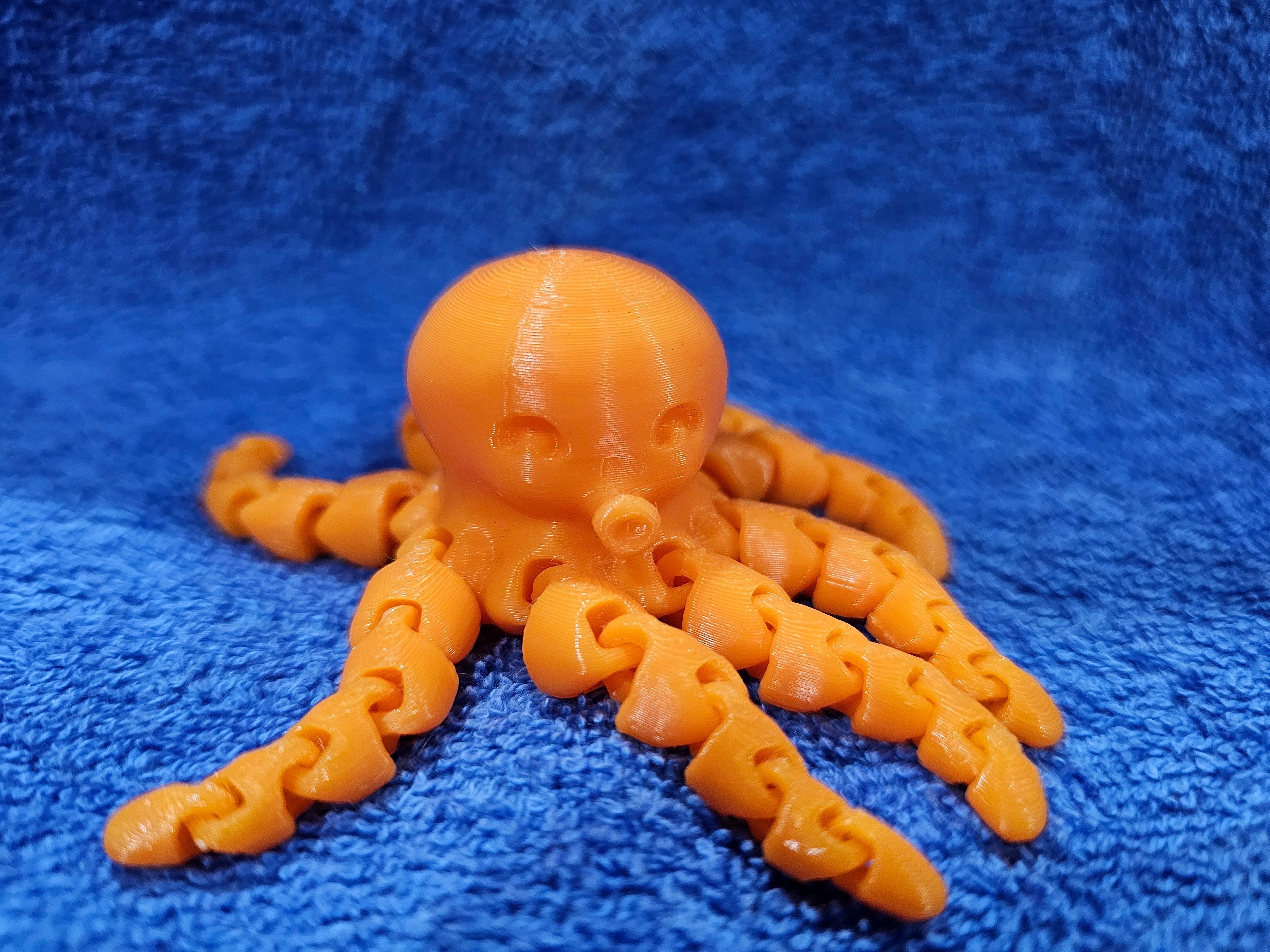 3-D Octopus