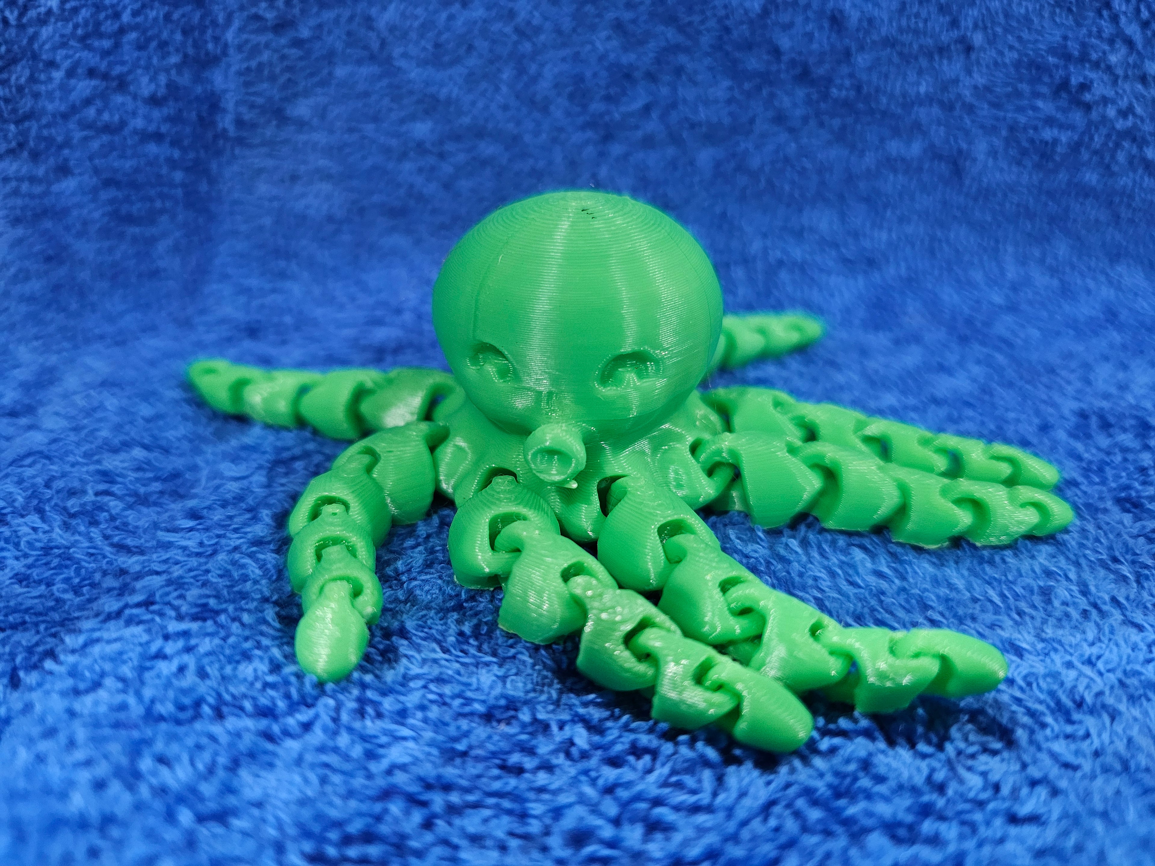3-D Octopus