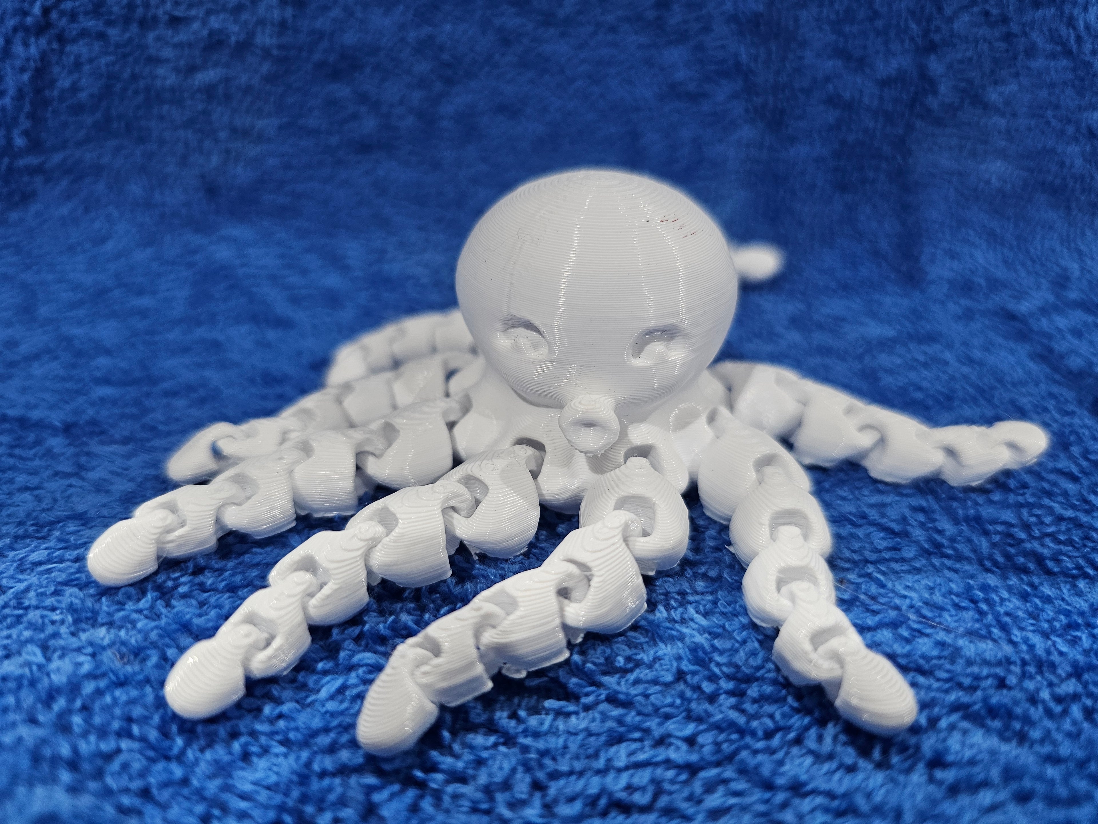 3-D Octopus