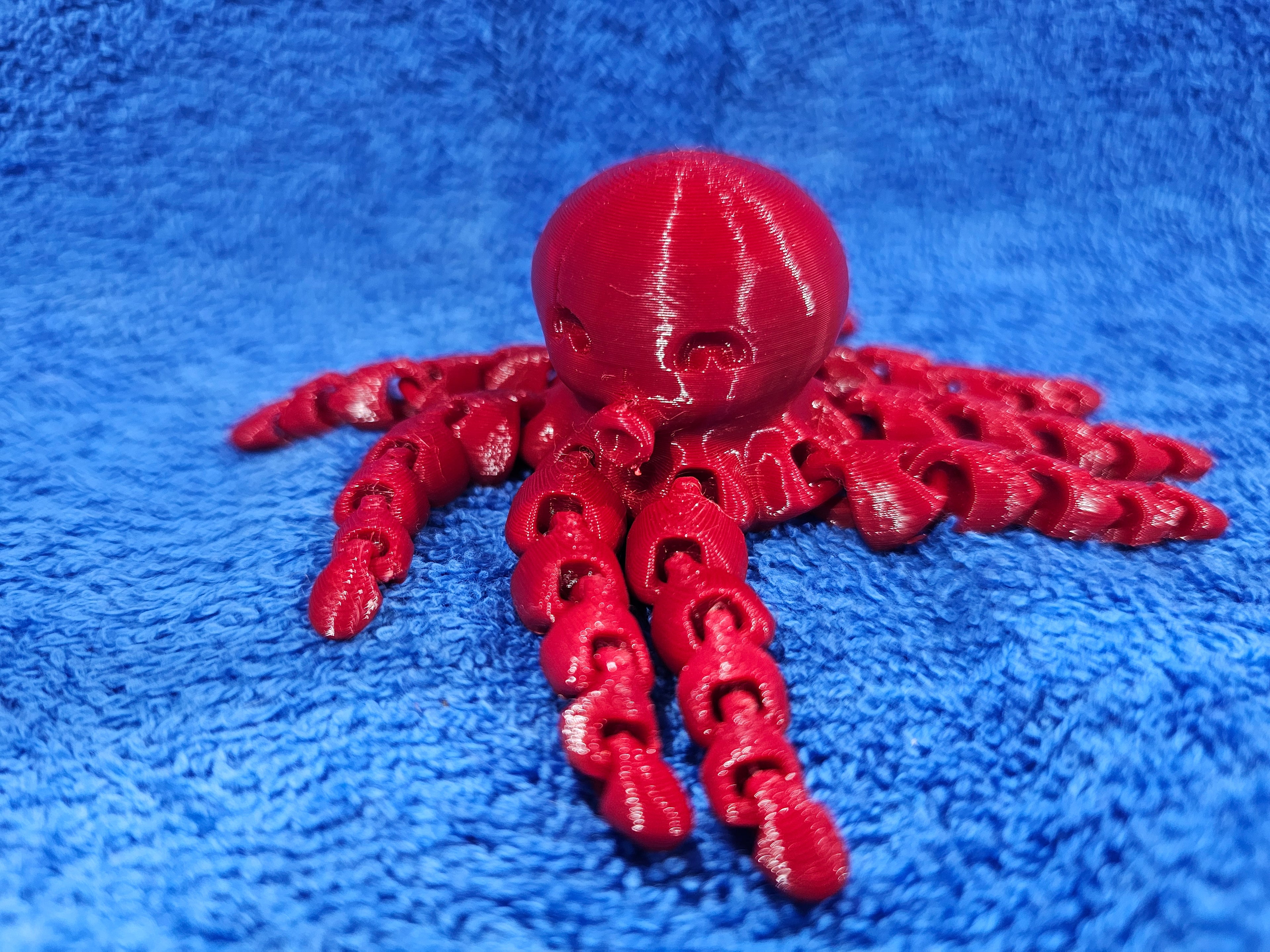 3-D Octopus