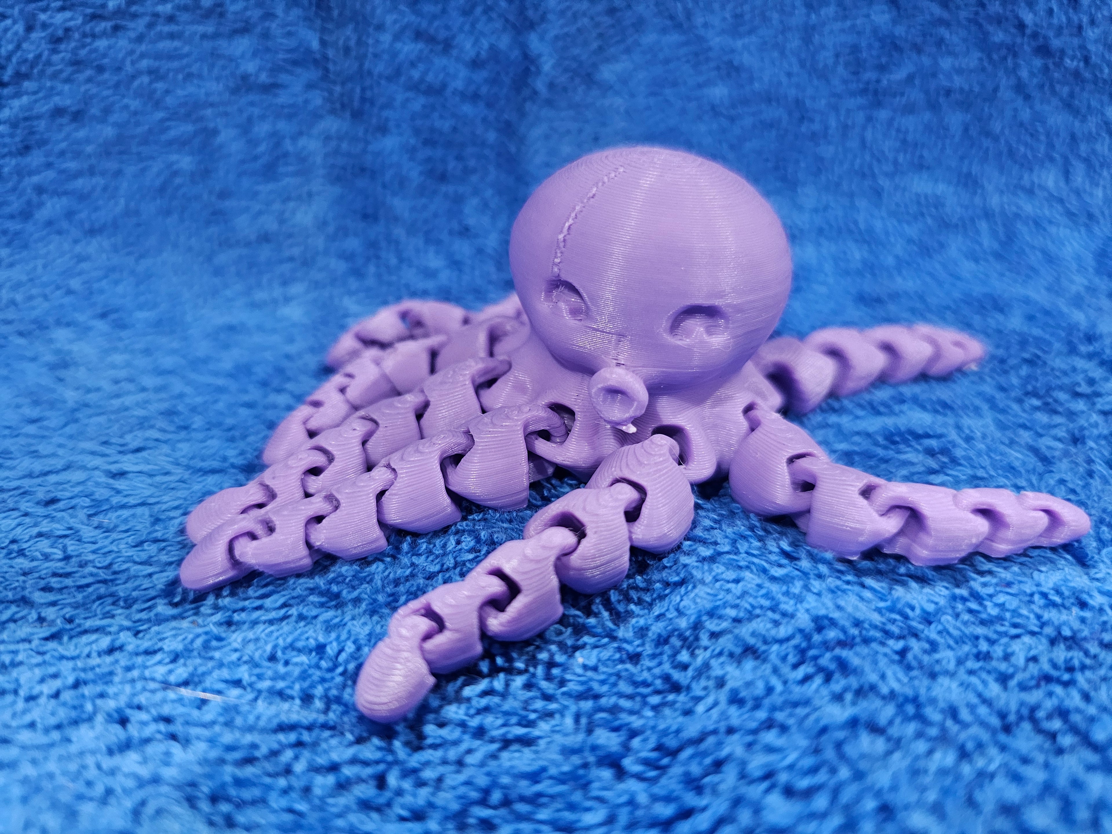 3-D Octopus
