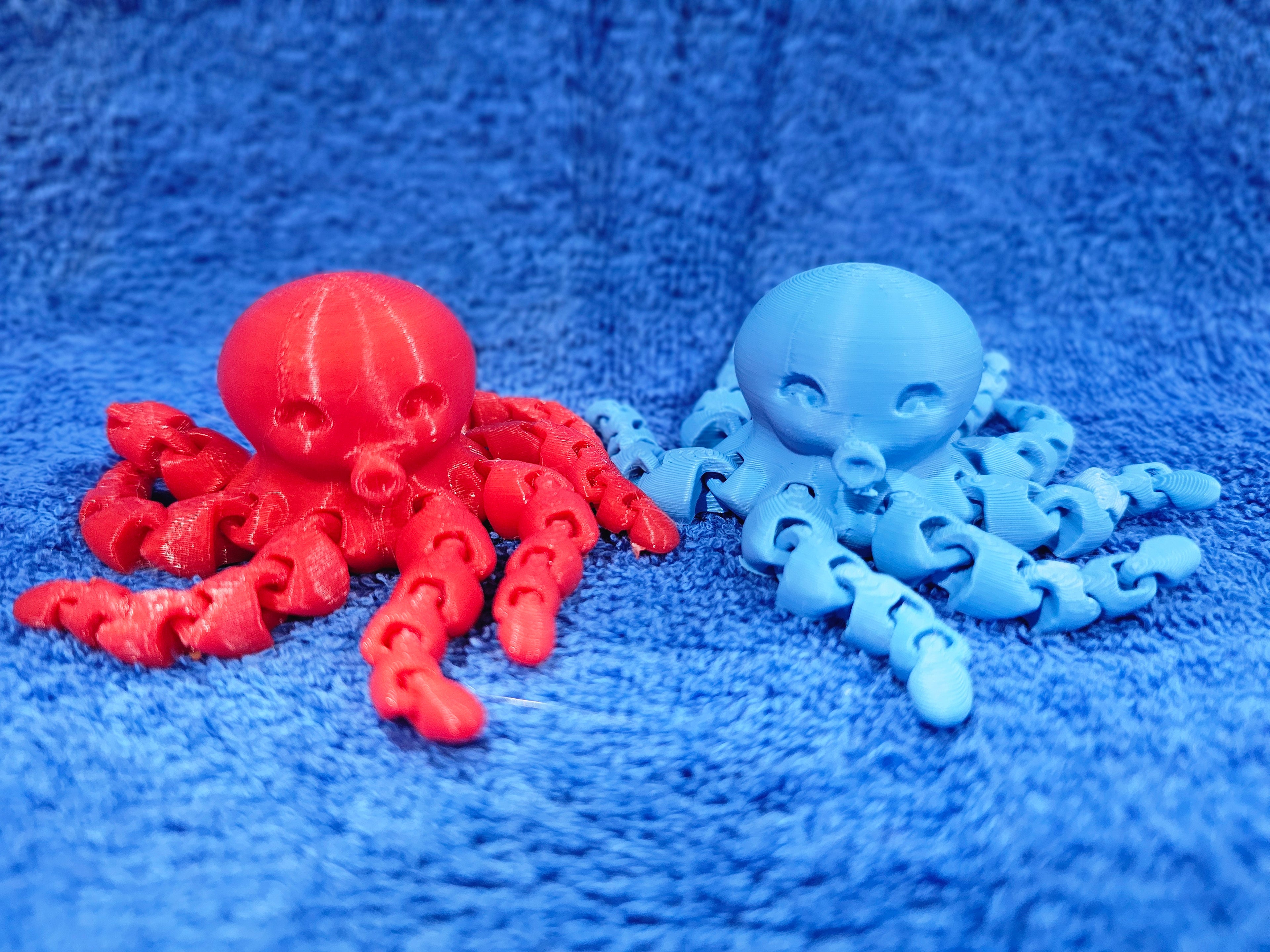 3-D Octopus