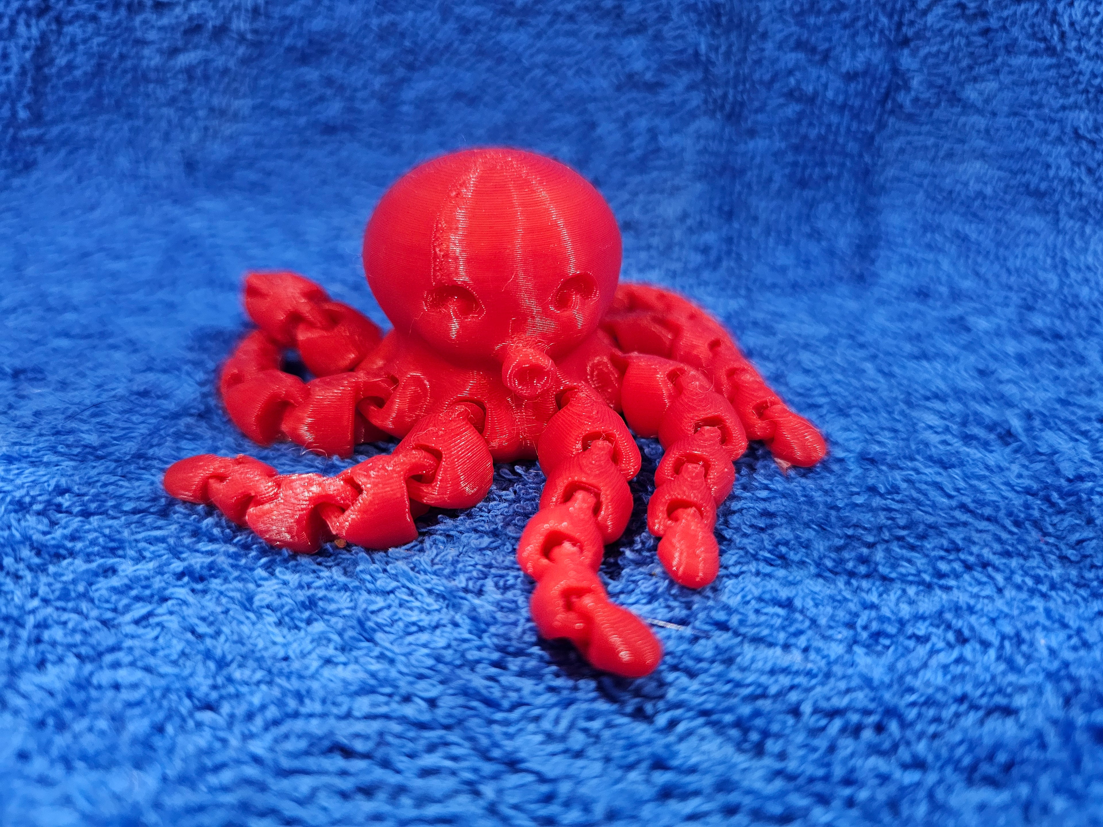 3-D Octopus