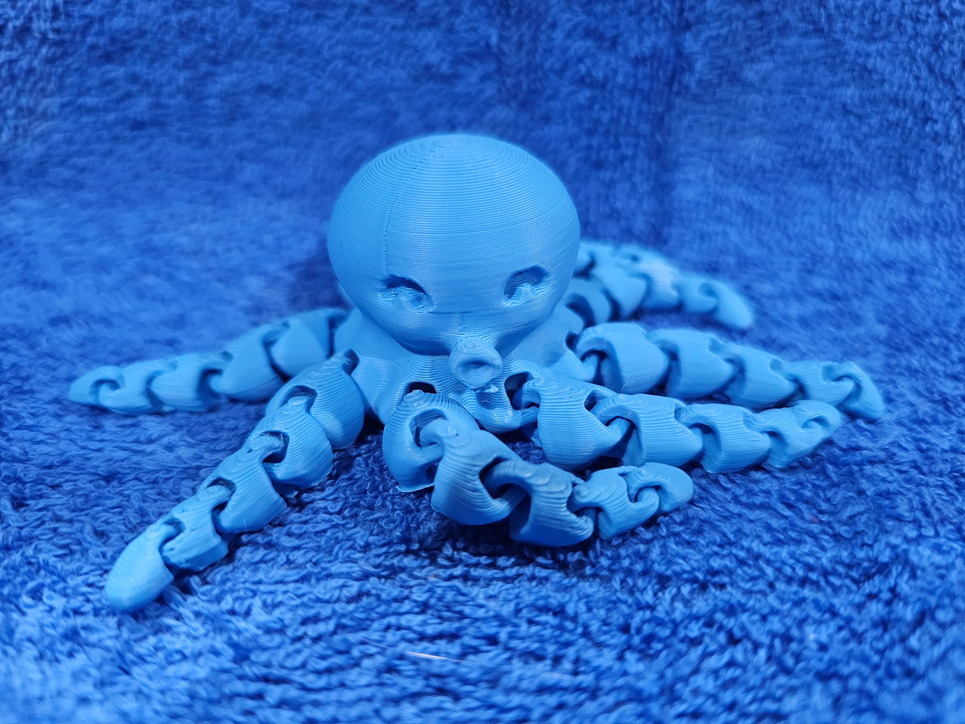 3-D Octopus