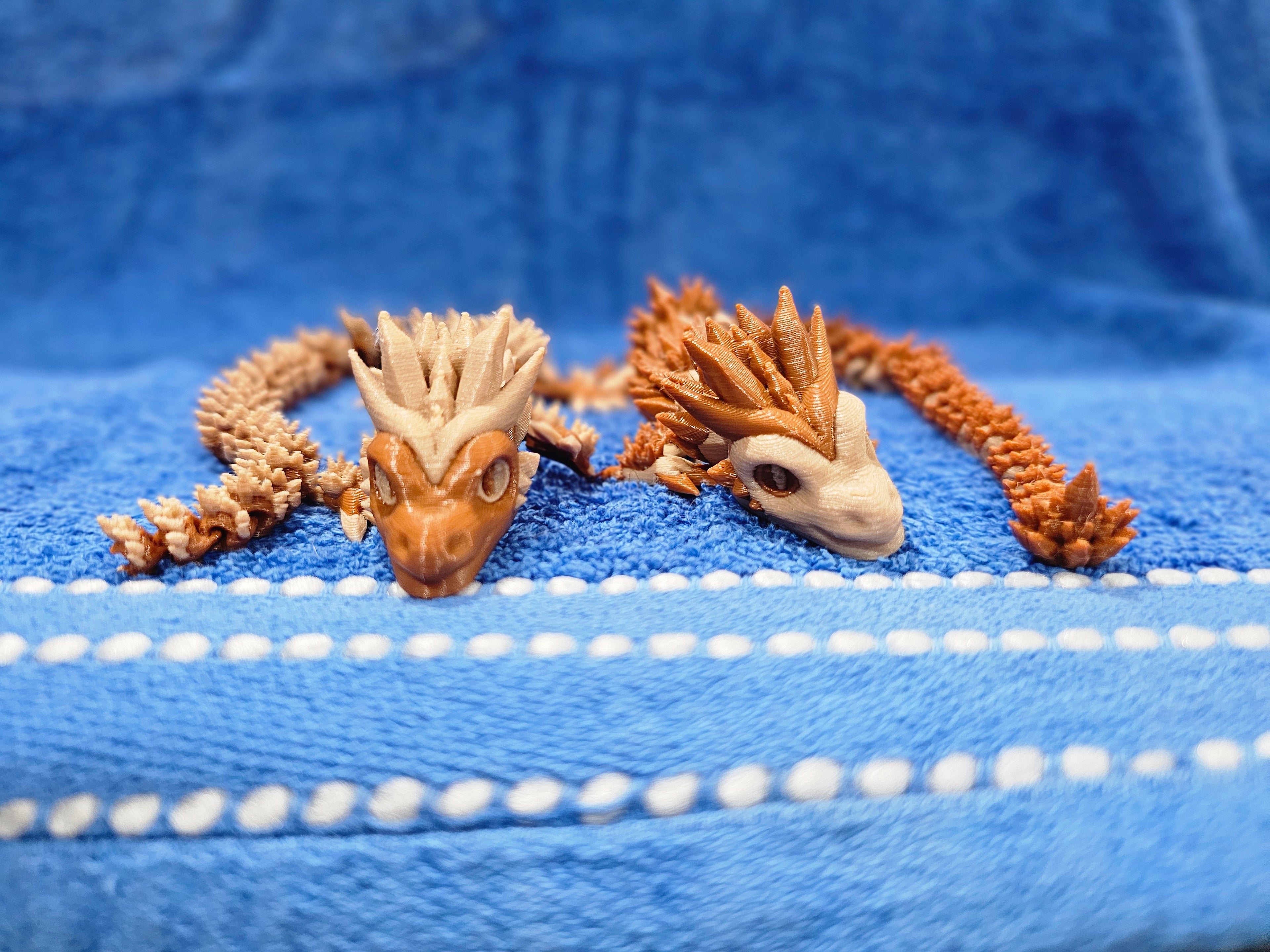 3-D Dragons